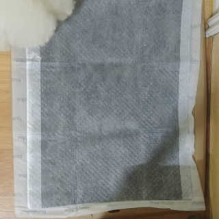호두맘님이 올린 리뷰 사진 2