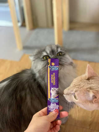 선짱님이 올린 리뷰 사진 3