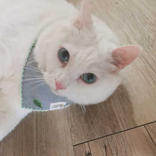 정선님이 올린 리뷰 사진 2