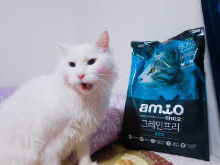 임서현님이 올린 리뷰 사진 2