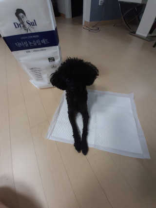 꼬몽님이 올린 리뷰 사진 1