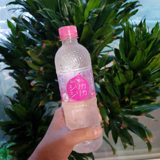 gogomini님이 올린 리뷰 사진 1