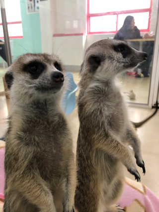 바니짱님이 올린 리뷰 사진 4