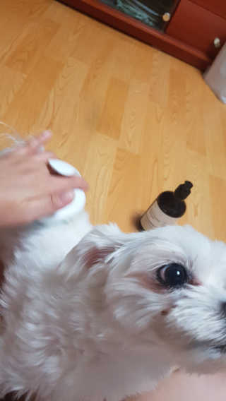 달리프 베러 퍼퓸 샴푸 1000ml 레이니데이 or 일랑로즈 — 5점을 준 리뷰어가 2018년 11월 올린 사용 사진