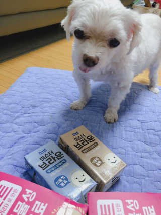 ejejejluv님이 올린 리뷰 사진 2