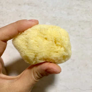 썬퀴스트님이 올린 리뷰 사진 1