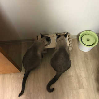 여니몬님이 올린 리뷰 사진 3