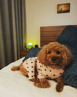 narae님이 올린 리뷰 사진 1
