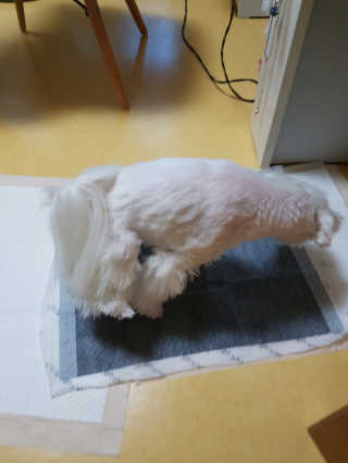 뽀오오옹님이 올린 리뷰 사진 3
