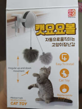 KAY님이 올린 리뷰 사진 2