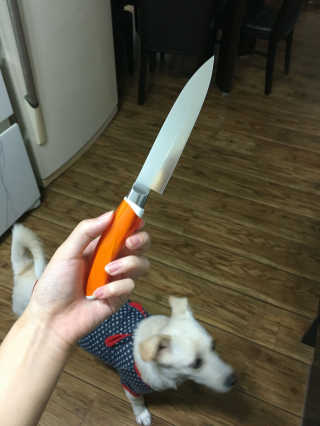 홍영주님이 올린 리뷰 사진 1