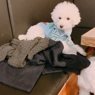 poco님이 올린 리뷰 사진 2