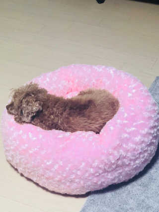 kayla님이 올린 리뷰 사진 2