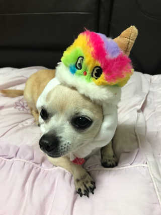 나니누네노님이 올린 리뷰 사진 1