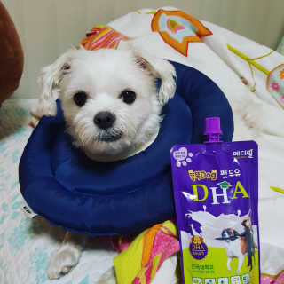 방민지님이 올린 리뷰 사진 1