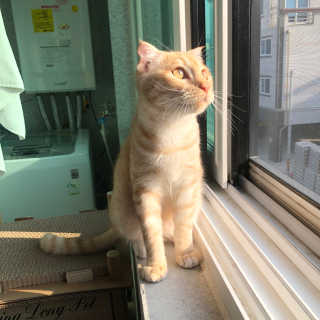 김민지님이 올린 리뷰 사진 2