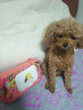 JHoooii님이 올린 리뷰 사진 3