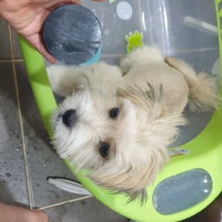 오즈맘님이 올린 리뷰 사진 2