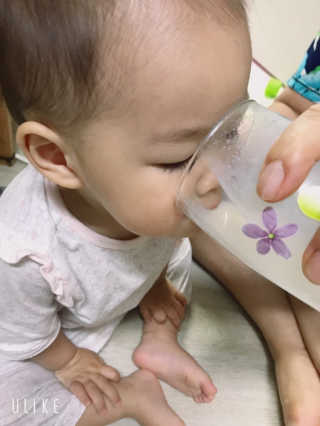 유산균하우스 프로바이오65 스마트 딸기맛, 플레인 맛 2종 랜덤 — 4.5점을 준 리뷰어가 2019년 6월 올린 사용 사진