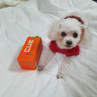몽이언니님이 올린 리뷰 사진 3