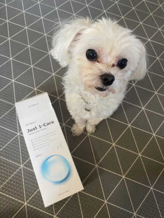 [펫토리아] 뚝딱케어 강아지 고양이 다목적세정제 — 4점을 준 리뷰어가 2020년 2월 올린 사용 사진