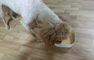 B님이 올린 리뷰 사진 3