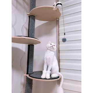 뿅아리님이 올린 리뷰 사진 4