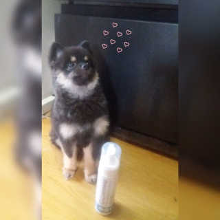 송정아님이 올린 리뷰 사진 1