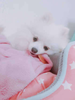한놔님이 올린 리뷰 사진 3
