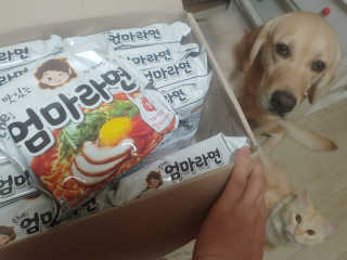 라면 그대로가 제일 맛있는 더엄마라면 — 5점을 준 리뷰어가 2019년 9월 올린 사용 사진
