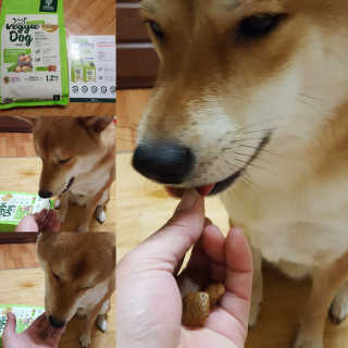 컴백08리터님이 올린 리뷰 사진 1
