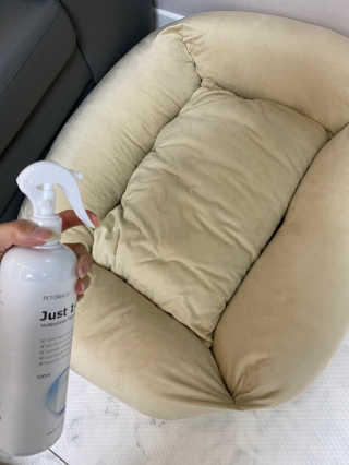 [펫토리아] 뚝딱케어 강아지 고양이 다목적세정제 — 4점을 준 리뷰어가 2020년 2월 올린 사용 사진