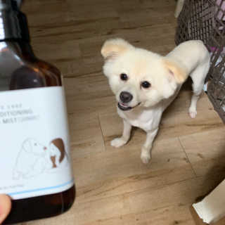 정혜원님이 올린 리뷰 사진 1