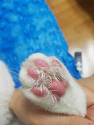 핸쑤님이 올린 리뷰 사진 3