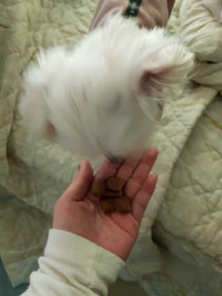 배엘세바님이 올린 리뷰 사진 2