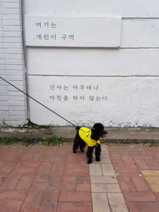 히로쯔님이 올린 리뷰 사진 3