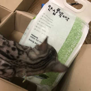 김지혜님이 올린 리뷰 사진 2