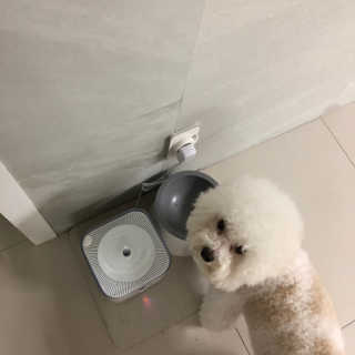 석하나린님이 올린 리뷰 사진 2