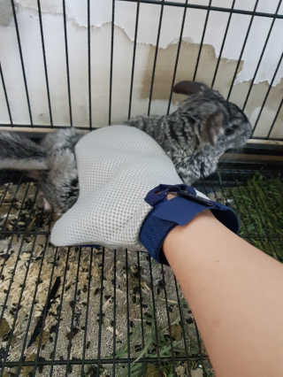 뿌빵단짠이네님이 올린 리뷰 사진 2