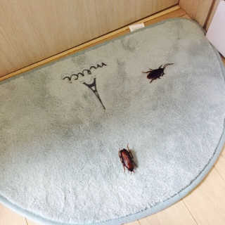 주지혜님이 올린 리뷰 사진 1