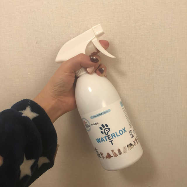 워터락펫 리뷰 사진