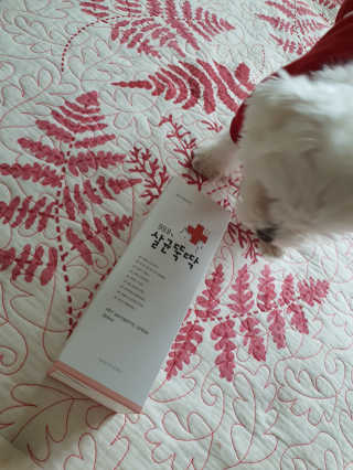 [펫토리아]살균뚝딱 강아지 고양이 살균소독제 탈취제 — 2점을 준 리뷰어가 2019년 10월 올린 사용 사진