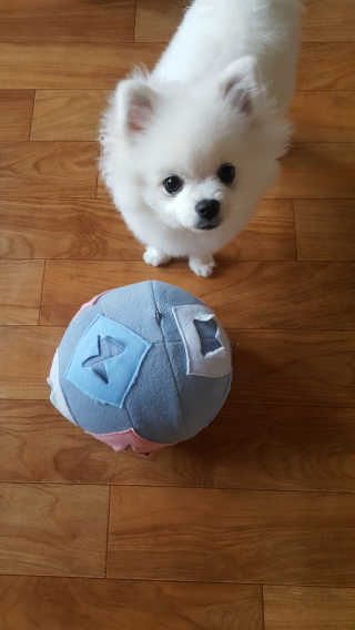 엄정식님이 올린 리뷰 사진 1