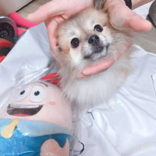 디자이너조은희님이 올린 리뷰 사진 3