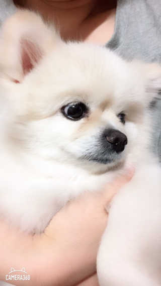 HyenaChoi님이 올린 리뷰 사진 3
