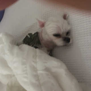 단발소녀님이 올린 리뷰 사진 3
