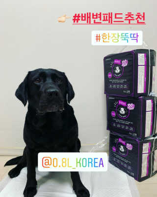 Younboss님이 올린 리뷰 사진 1