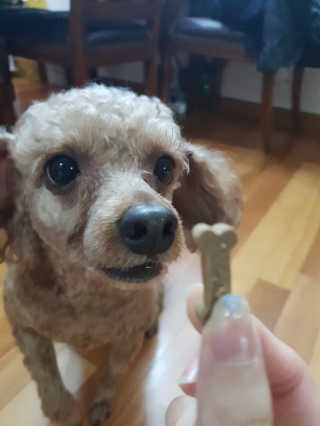 야딩님이 올린 리뷰 사진 2