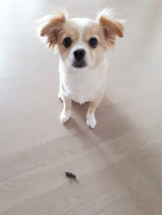 jina2744님이 올린 리뷰 사진 2