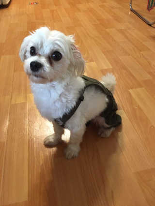 7hwoo님이 올린 리뷰 사진 2
